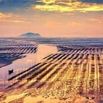 Manuel Saavedra avatar