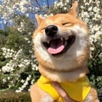 Fátima Camacho avatar